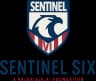 Sentinel VI
